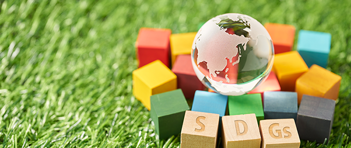 SDGs研修